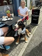 well-established café lease for - 3