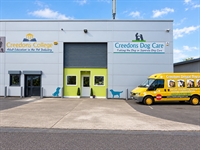 ireland's leading dog care - 1