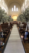 established wedding styling luxury - 1