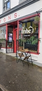 tribe coffee shop group - 1