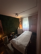 established beauty massage salon - 2