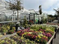 commercial nursery for sale - 2