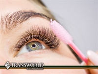 established profitable beauty business - 1
