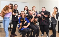 ireland's leading dog care - 3