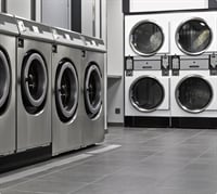 long established laundry dry - 1