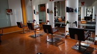 well-established hair salon - 1