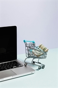 ecommerce consultancy business for - 1
