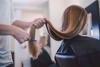well established profitable hair - 1