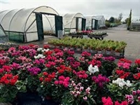 commercial nursery for sale - 3