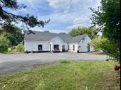 thriving boarding kennels 4