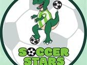 soccer stars sligo franchise