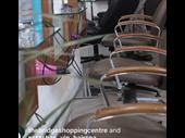 newly established hair salon